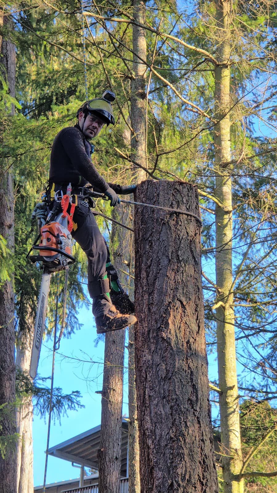 Cesar Uyoa - Lead Climbing Arborist