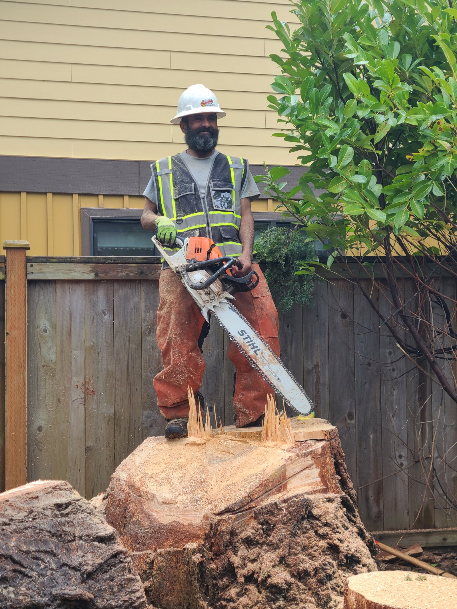 Seferino - Tree Felling Specialist