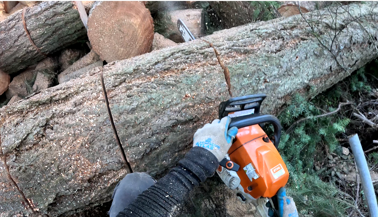 Chainsaw standard removal