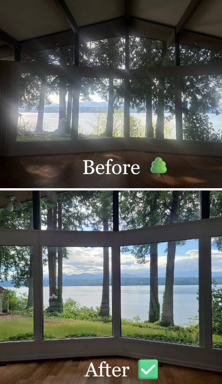 Cleanup Before and After