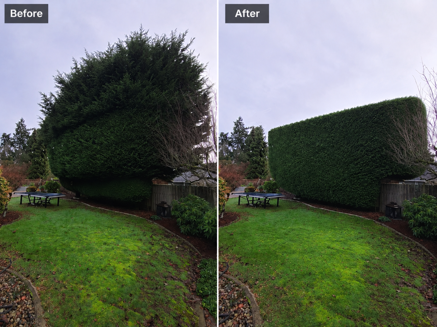 Edge Trimming