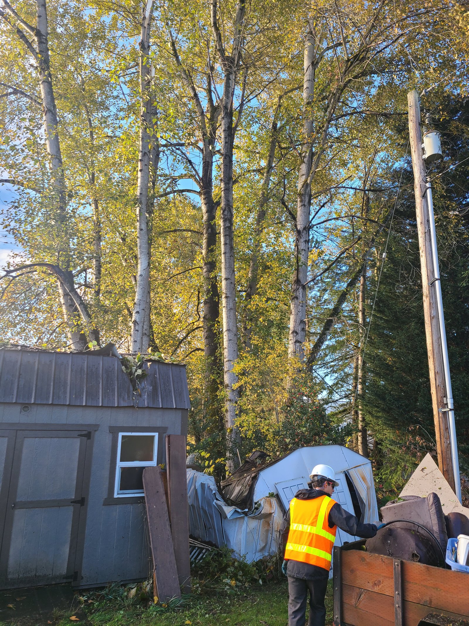 Storm damage